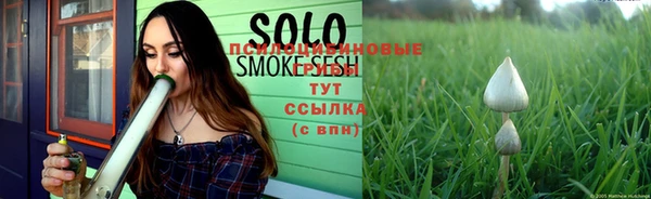 spice Абинск