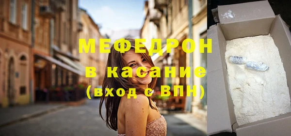 хмурый Пересвет