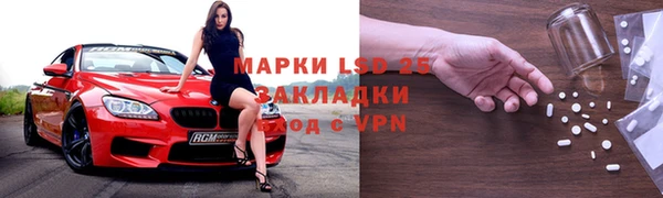 хмурый Пересвет