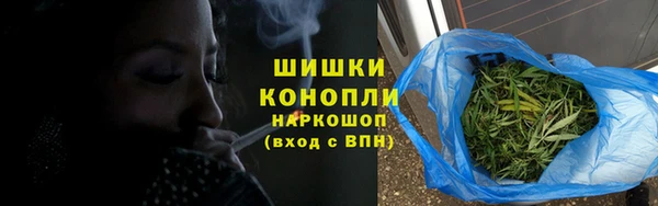 хмурый Пересвет