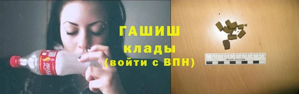 хмурый Пересвет