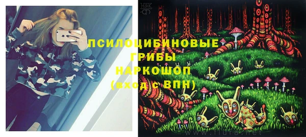 хмурый Пересвет
