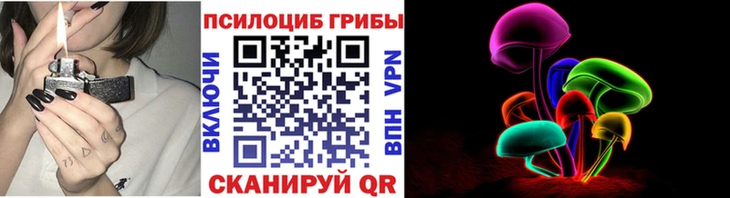 сколько стоит  Нариманов  Псилоцибиновые грибы мицелий 